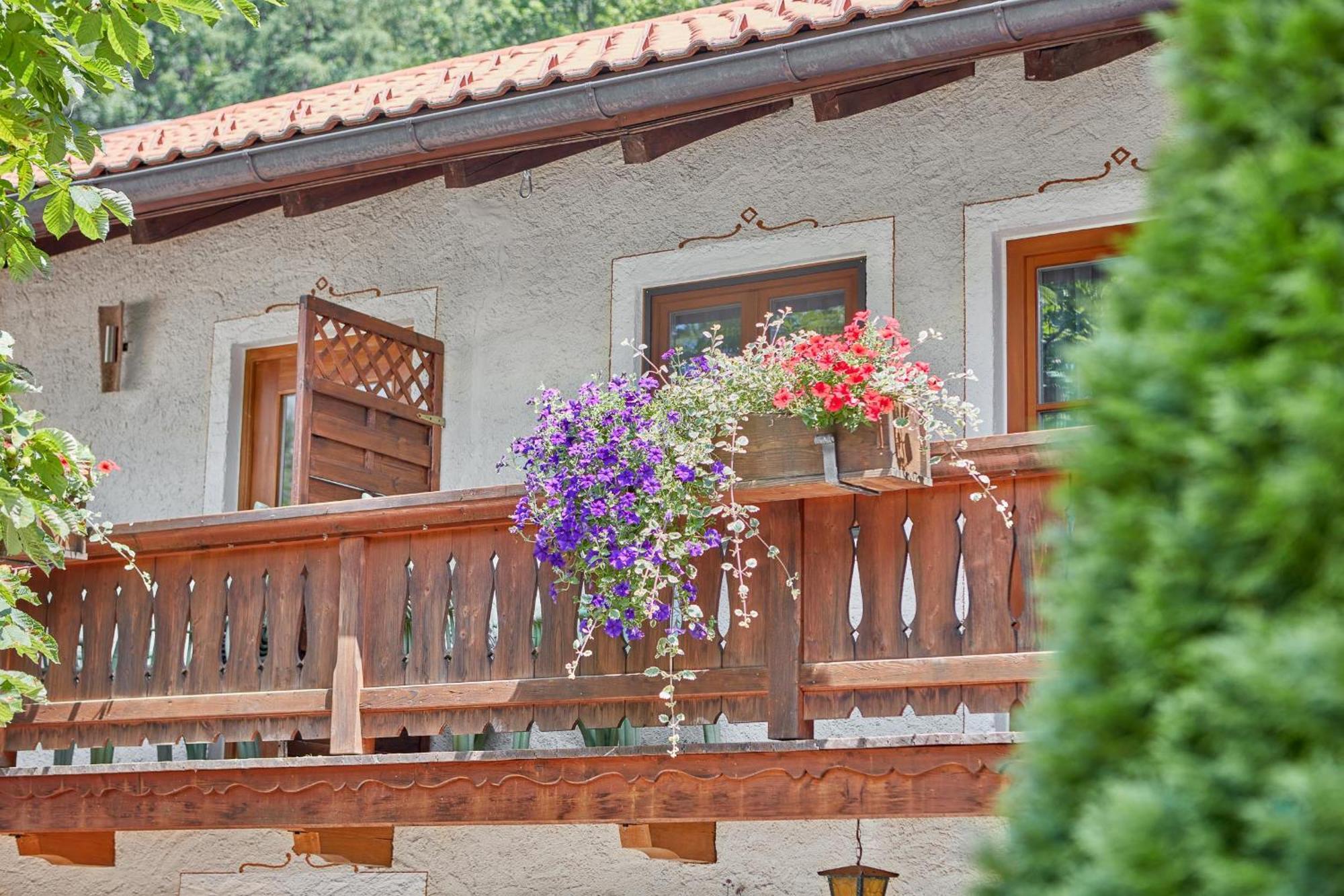 Отель Garni Alte Saege 3*